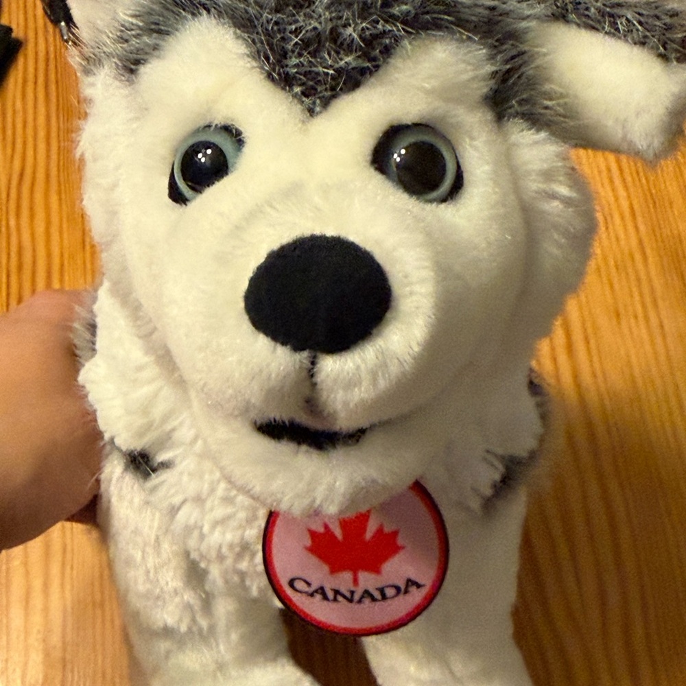 NWOT Husky plush toy, with a Canada 🇨🇦 Collar, white and grey. - Picture 3 of 8